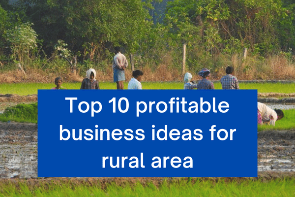 Business Ideas For Rural Area | Top 10 Business Ideas For Villages