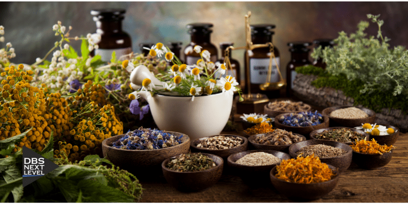 herbal and medicinal plant