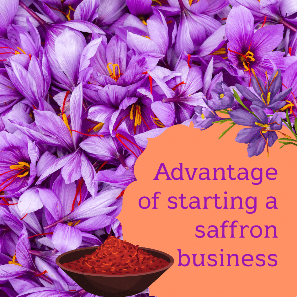 Advantage of starting a saffron business